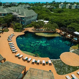 hotel-shibari-restaurant-cenote-club.quintano-roohotels.com/